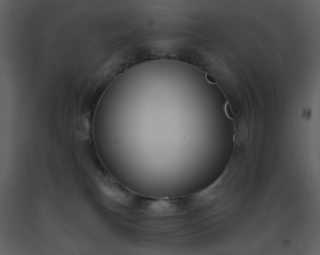 X0000093580183200710221510