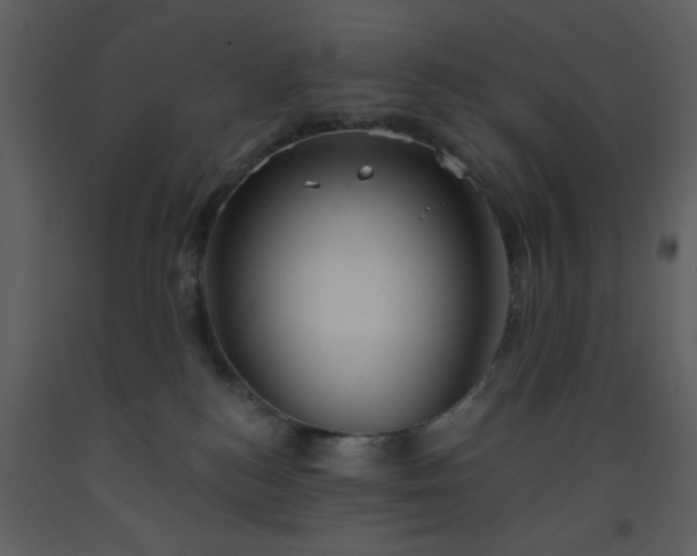 X0000093580184200710221510