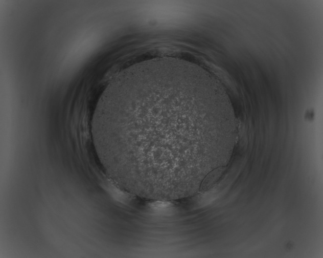 X0000093580189200710221511