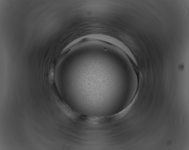 X0000093580190200710221511