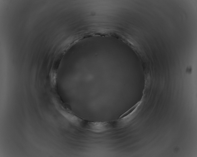 X0000093580191200710221511