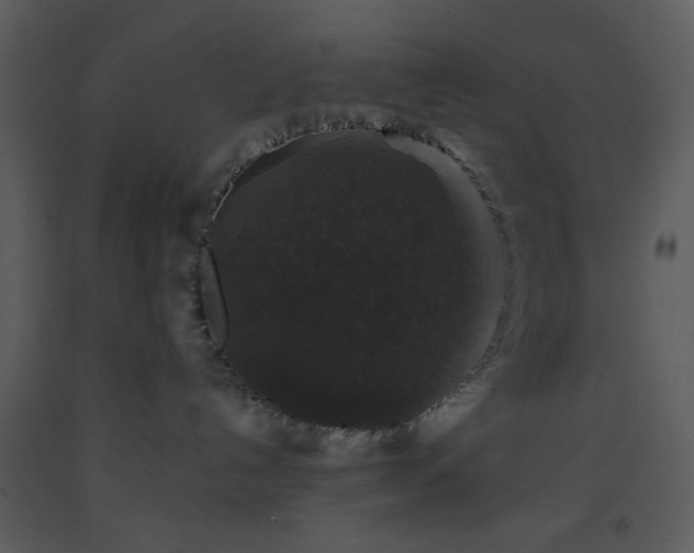 X0000093580192200710221511