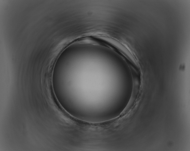 X0000093580193200710221510
