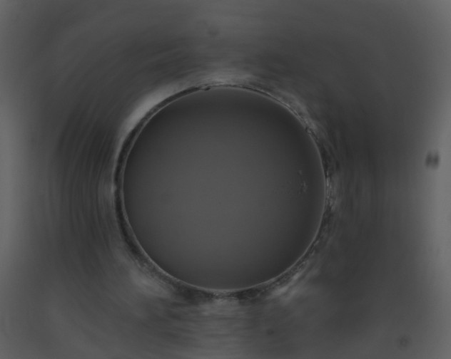 X0000093580196200710221510