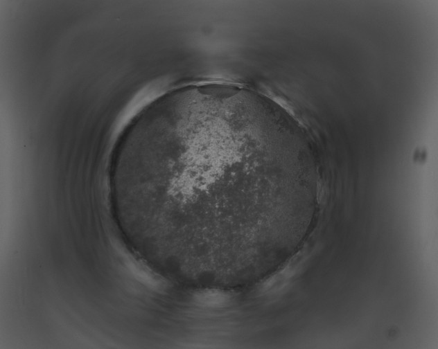 X0000093580198200710221510