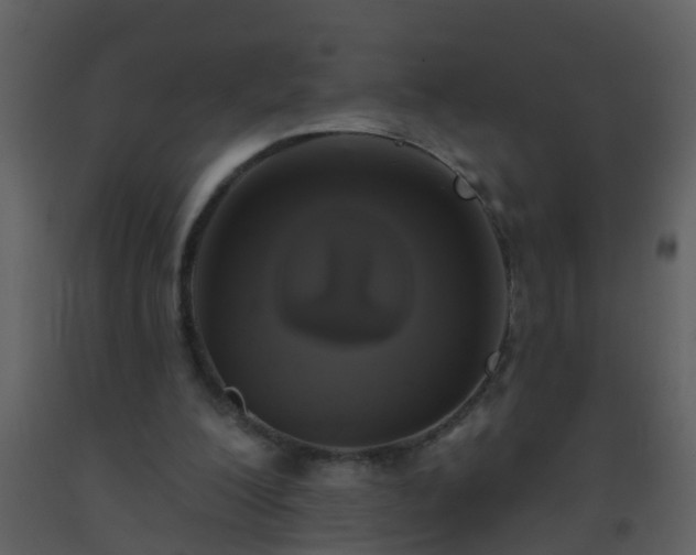 X0000093580200200710221510