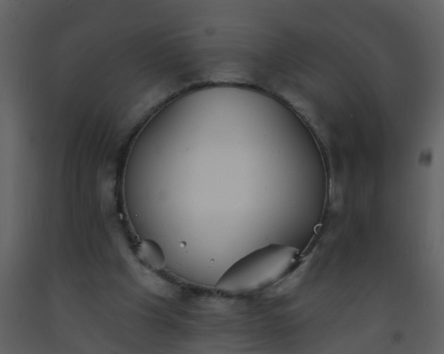 X0000093580201200710221510