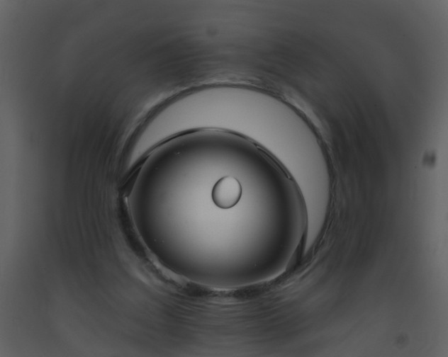 X0000093580203200710221510