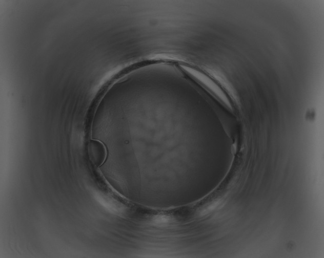 X0000093580204200710221510
