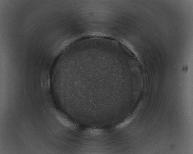 X0000093580205200710221510