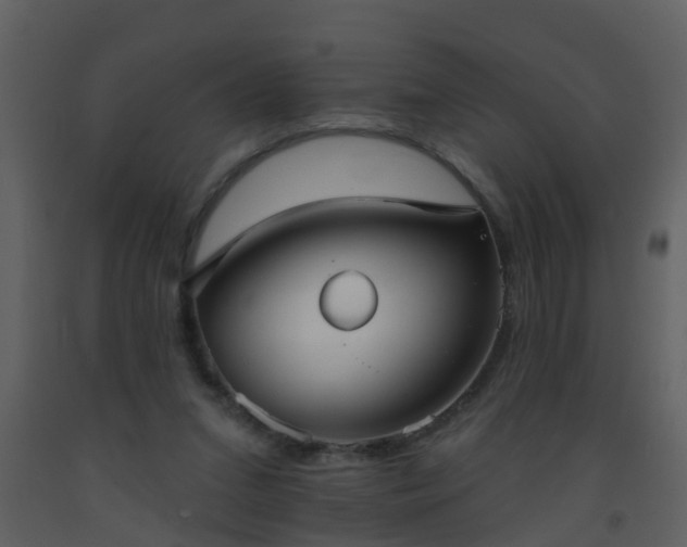 X0000093580207200710221510