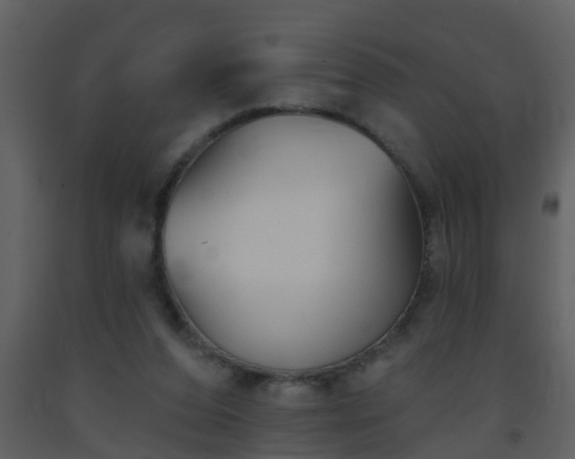 X0000093580208200710221510