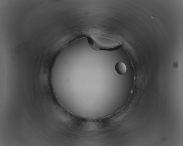 X0000093580209200710221510