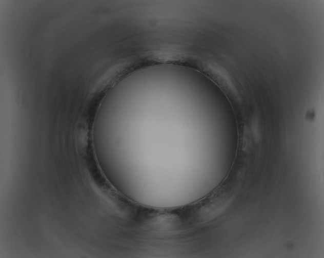 X0000093580210200710221510