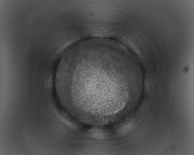 X0000093580211200710221510