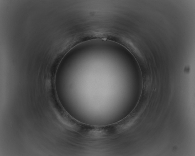 X0000093580213200710221510