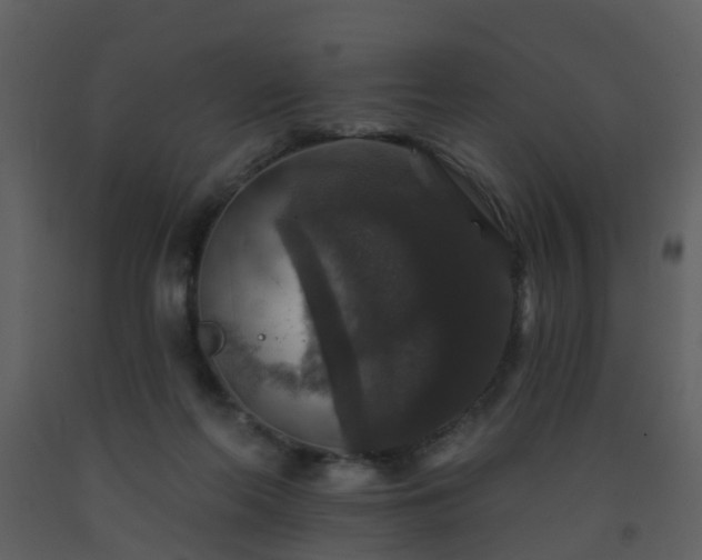 X0000093580214200710221510