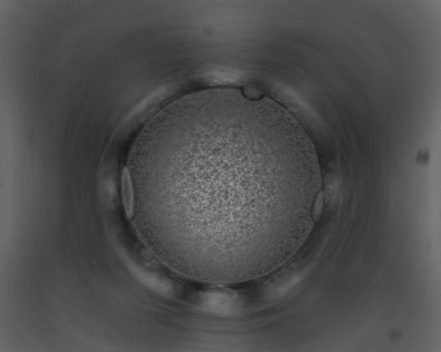 X0000093580215200710221510