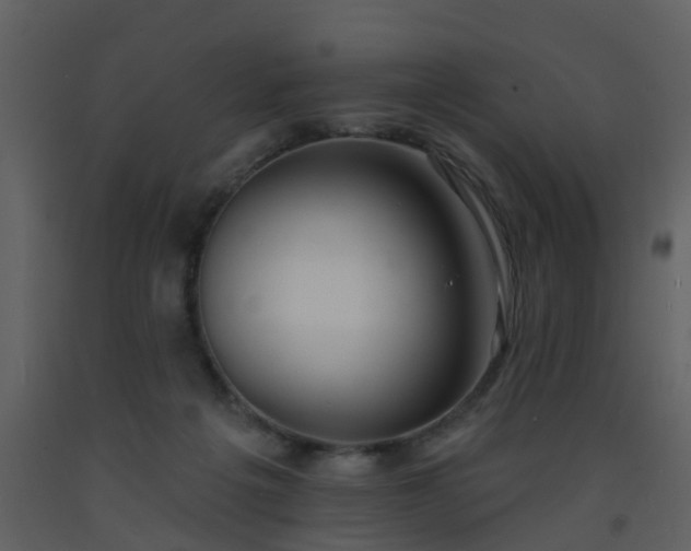 X0000093580217200710221510