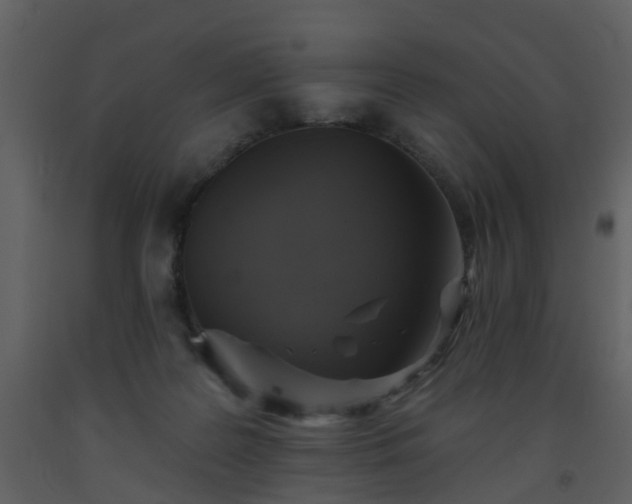 X0000093580219200710221510