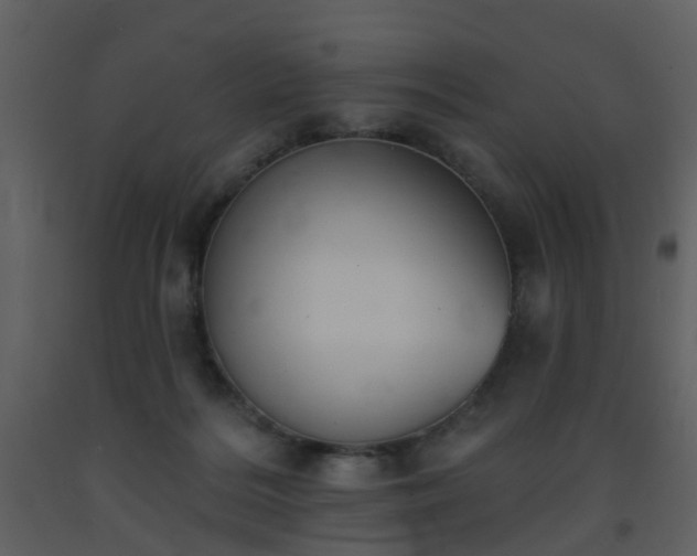 X0000093580220200710221510