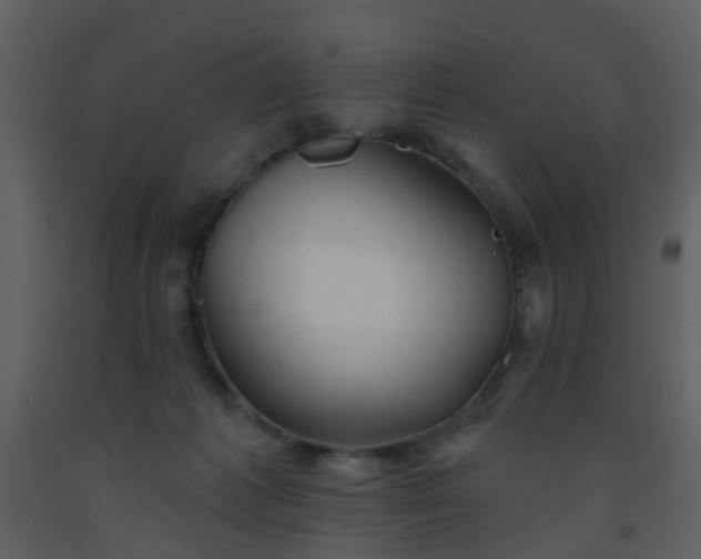 X0000093580221200710221510