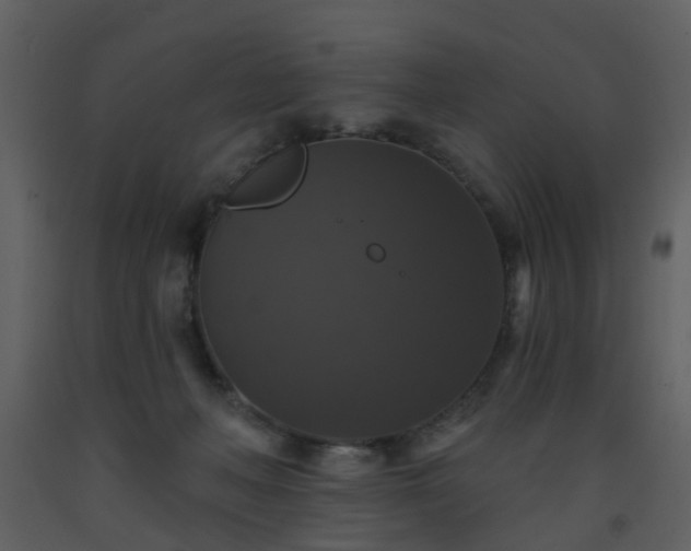 X0000093580222200710221510