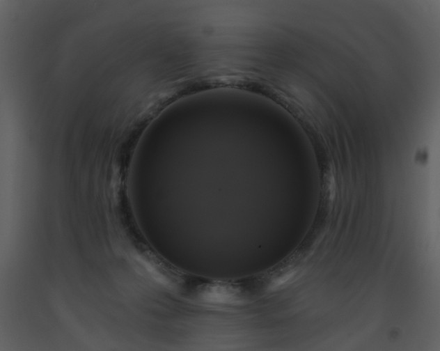 X0000093580223200710221510