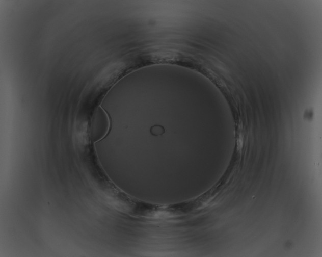 X0000093580224200710221510