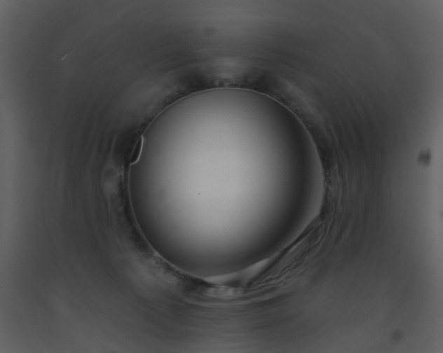 X0000093580225200710221510
