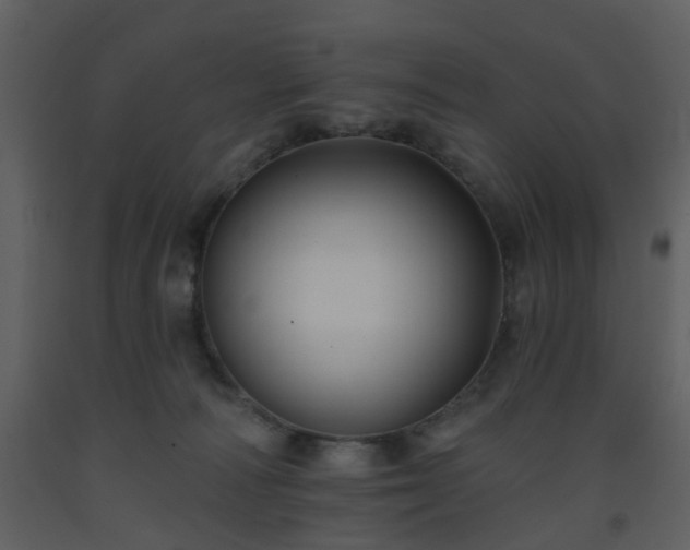 X0000093580226200710221510