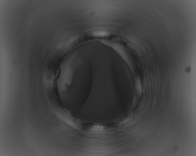 X0000093580227200710221510