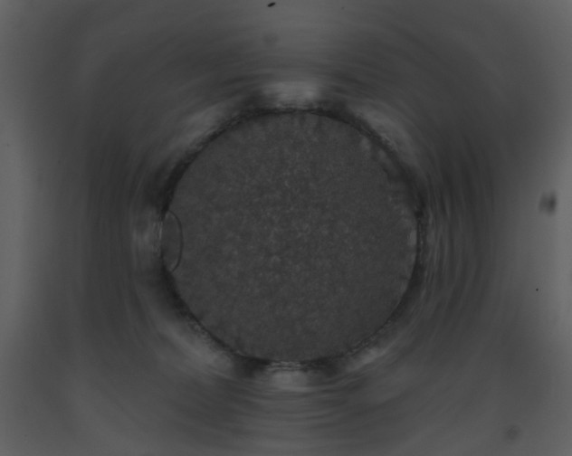 X0000093580228200710221510
