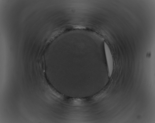 X0000093580229200710221510