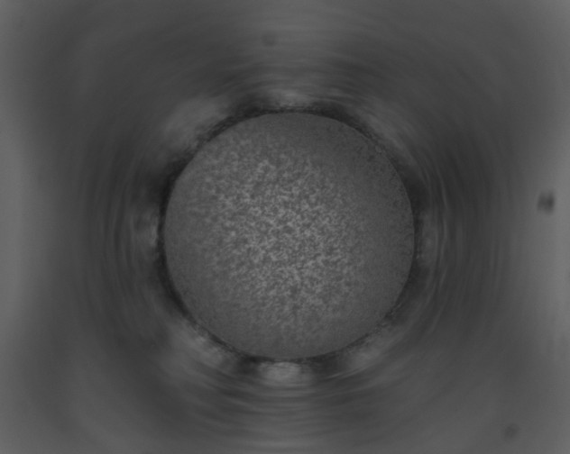 X0000093580230200710221510