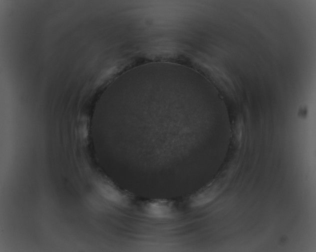 X0000093580232200710221509