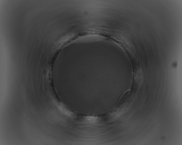 X0000093580233200710221509