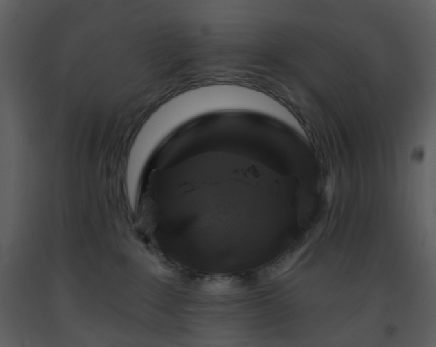 X0000093580235200710221509