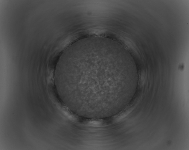 X0000093580236200710221509