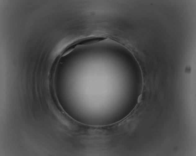 X0000093580242200710221509
