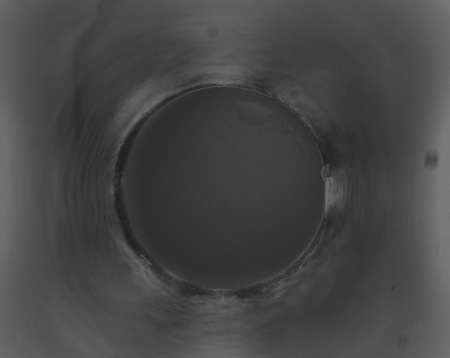 X0000093580243200710221509