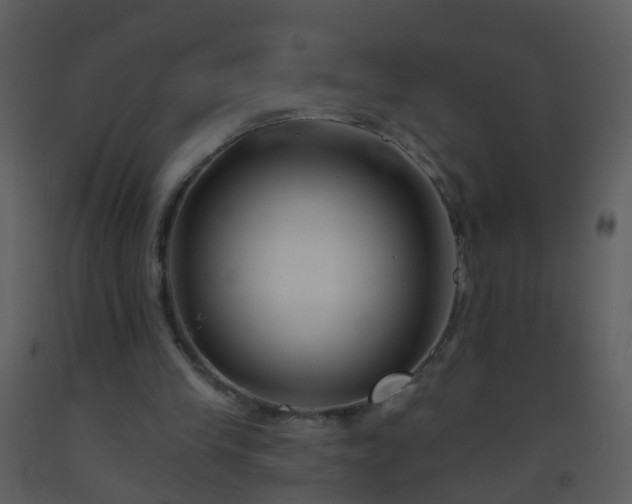 X0000093580245200710221509