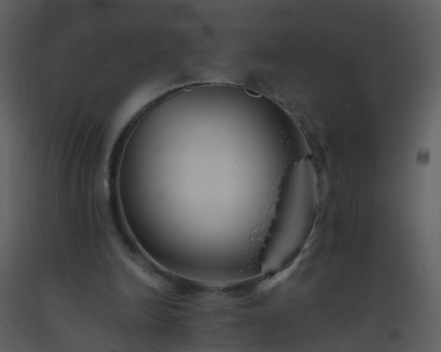 X0000093580246200710221509