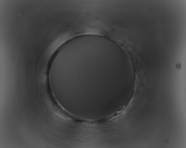 X0000093580247200710221509