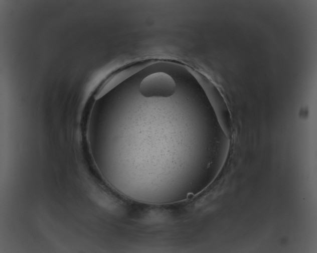 X0000093580248200710221509