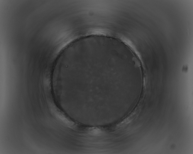 X0000093580249200710221509