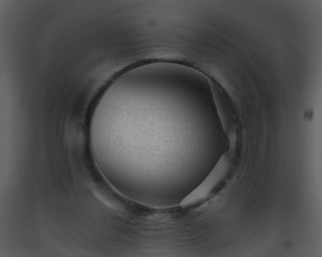 X0000093580252200710221509