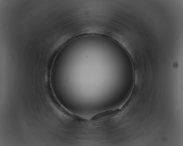 X0000093580253200710221509