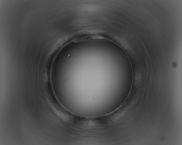 X0000093580254200710221509