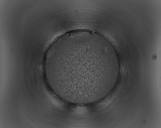 X0000093580256200710221509